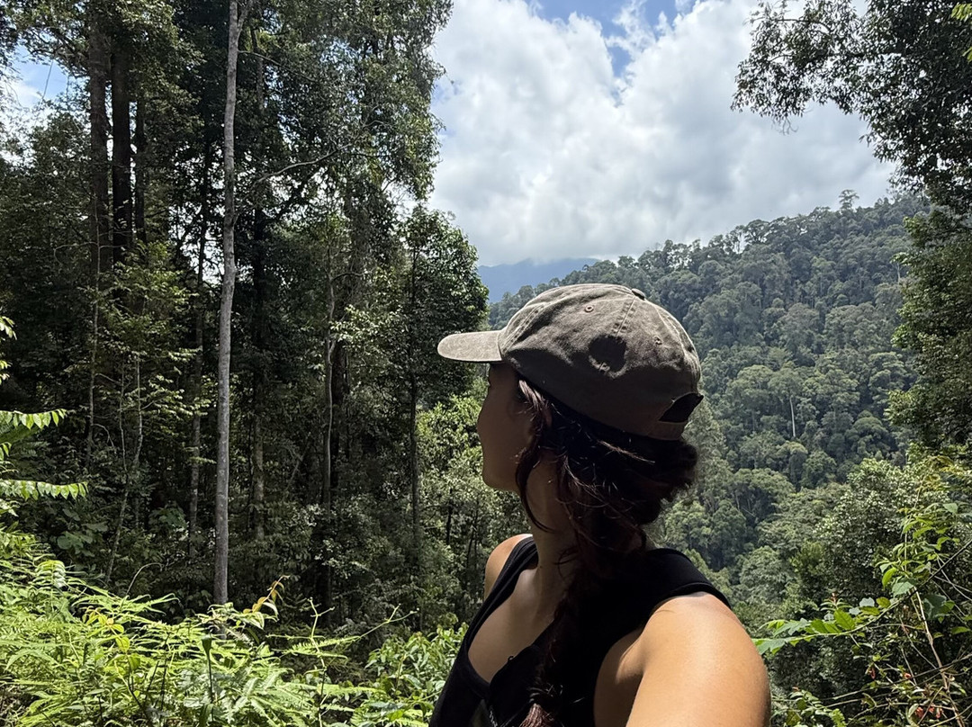 Sumatra Tour Adventures-武吉拉旺必去景点