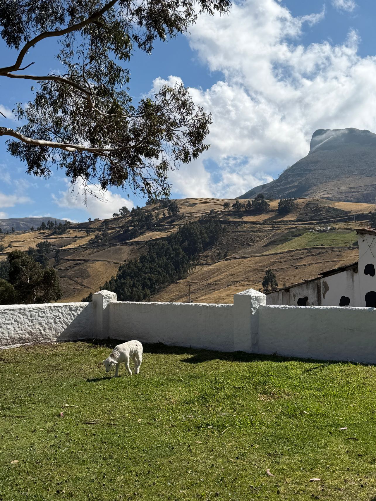 Posada De Tigua-旅行者