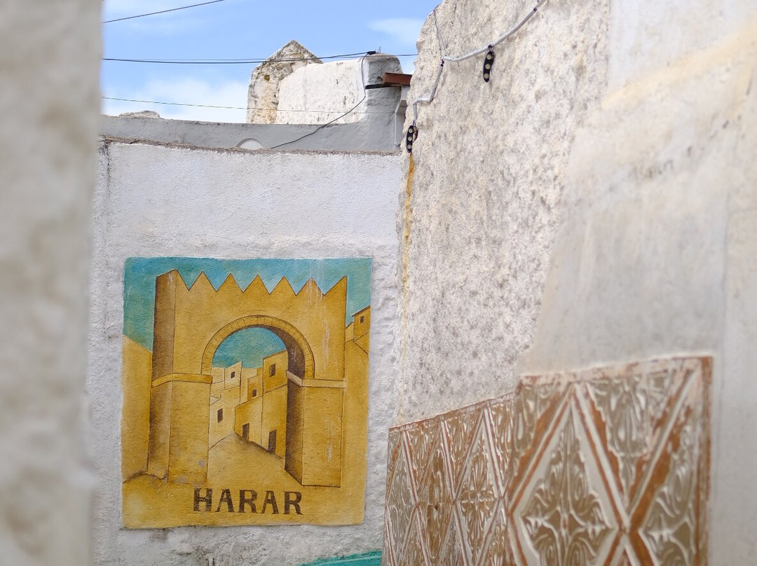 Edom Harar Tours & Car Rentals-哈勒尔必去景点