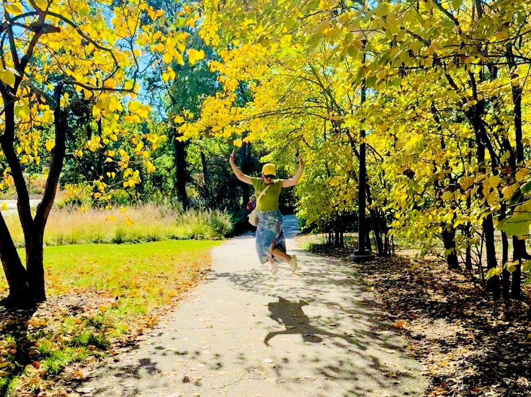 Morton Arboretum-Lisle必去景点