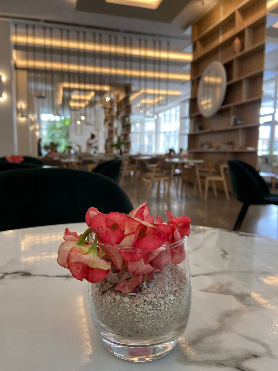 Meliá Trinidad Península-旅行者