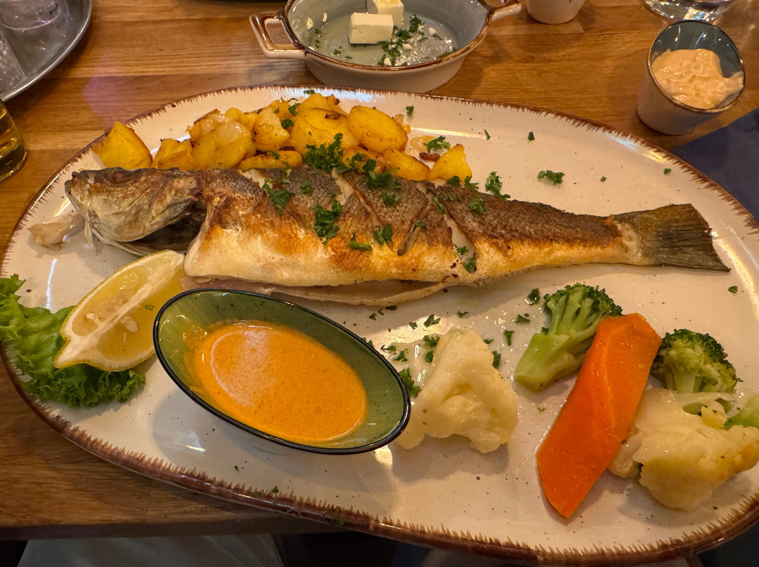 Fisch Pauli