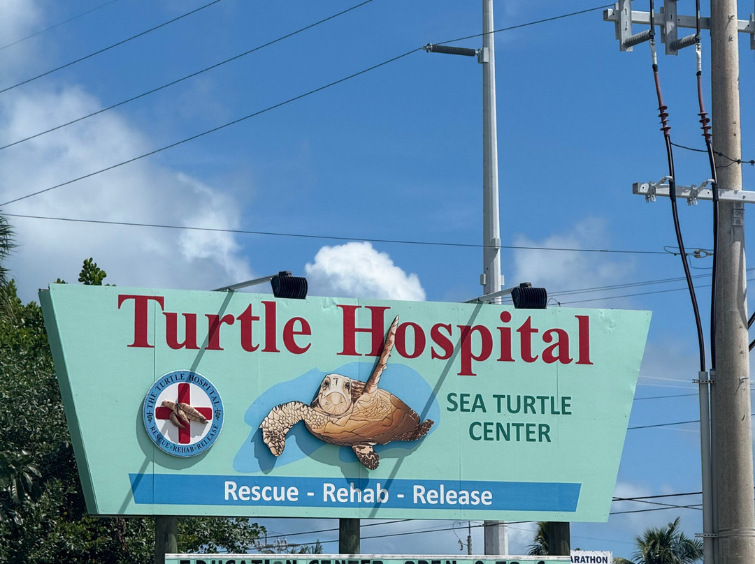The Turtle Hospital-马拉松必去景点