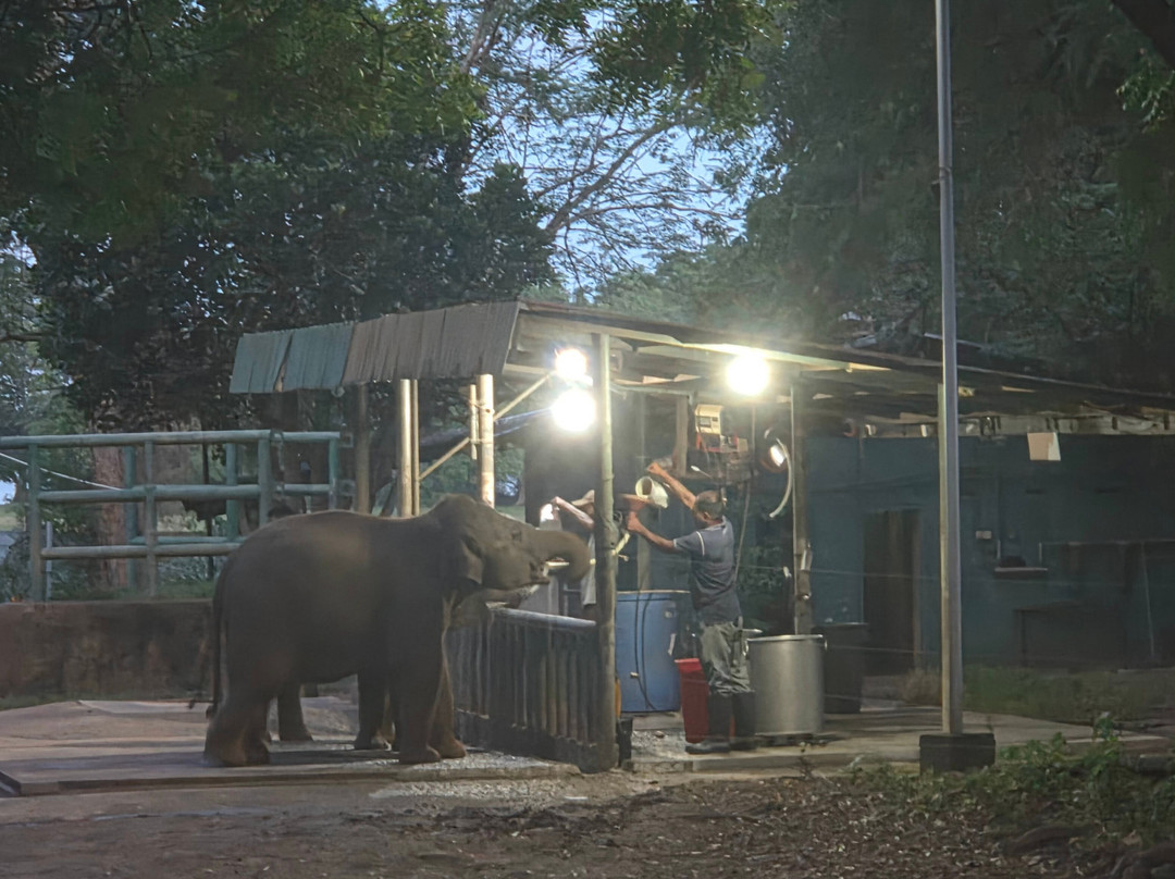 Elephant Transit Home (ETH)-乌达瓦拉维国家公园必去景点