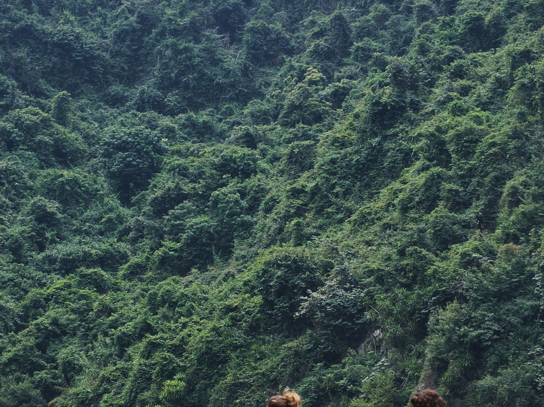 Cat Ba Smile Tours-卡巴必去景点