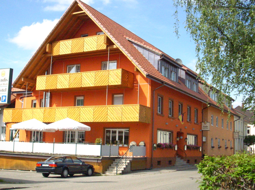 Maulburg酒店住宿-Hotel Andi's Steakhusli