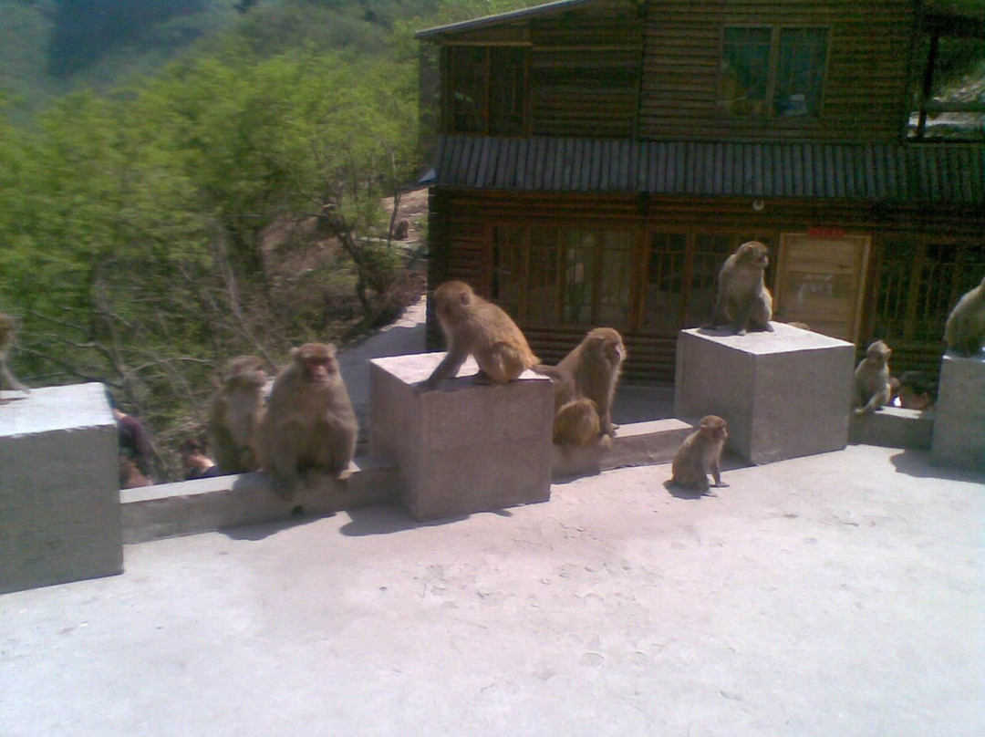 晋城旅游景点-神农山