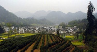 蜀源村-黄山市必去景点