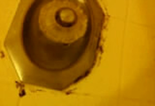 Airport Park View Hotel