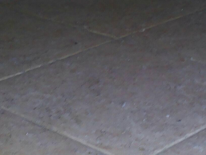 Hotel Prato Paolucci