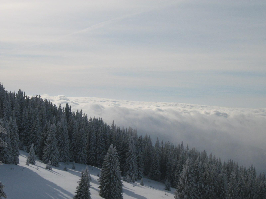 Sokolovci酒店住宿-Bor Hotel