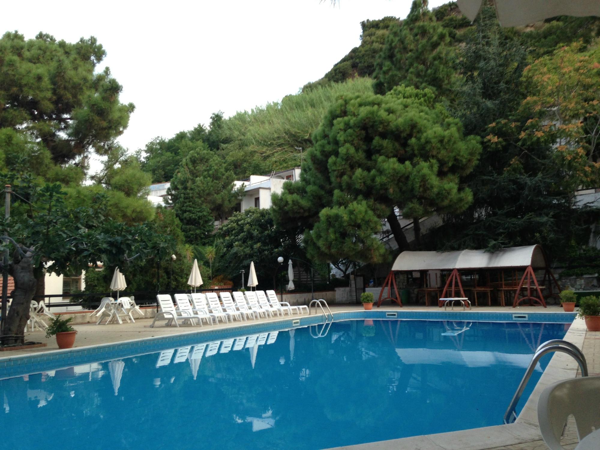Park Hotel-泳池