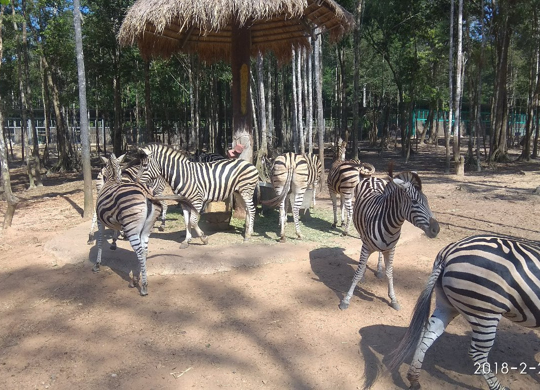 珍珠王国野生动物园
