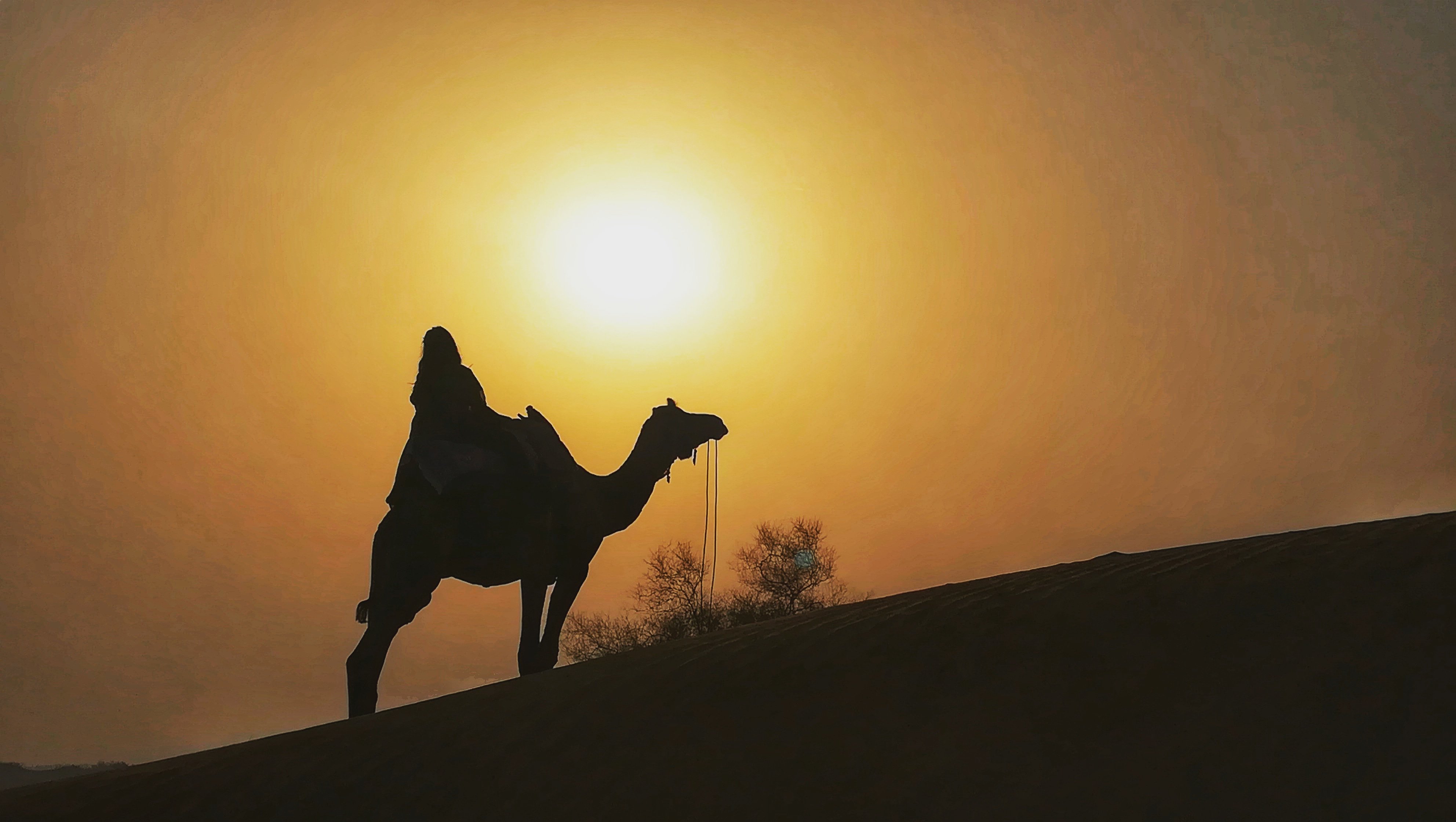 Rao Bikaji Camel Safari-家庭/游戏区