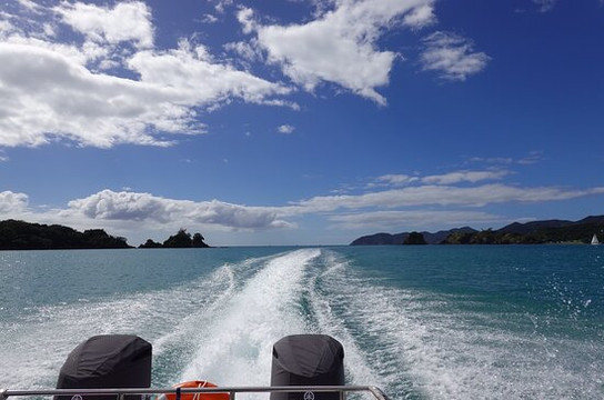 Bay of islands Snorkelling Ltd-派希亚必去景点