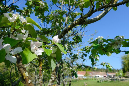 Maison d'Hotes "La chevrerie"主图