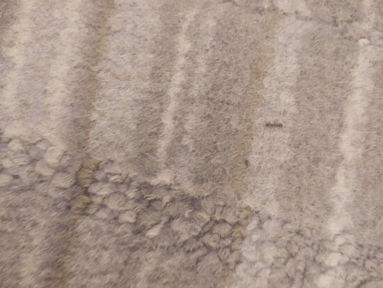 Holiday Inn Express & Suites Cedar Rapids-I-380 @ 33rd Ave by IHG