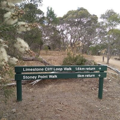 Stony Point Walk and Picnic Ground景点图片