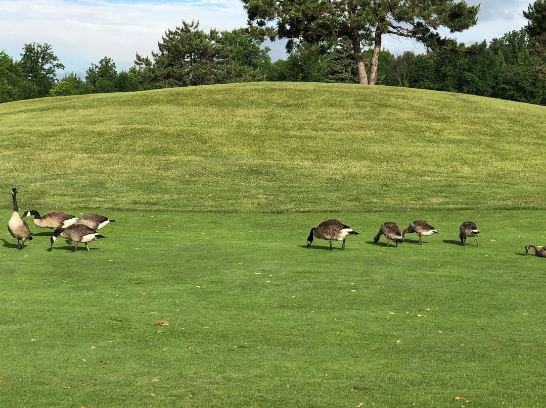 Links of Novi-诺维必去景点