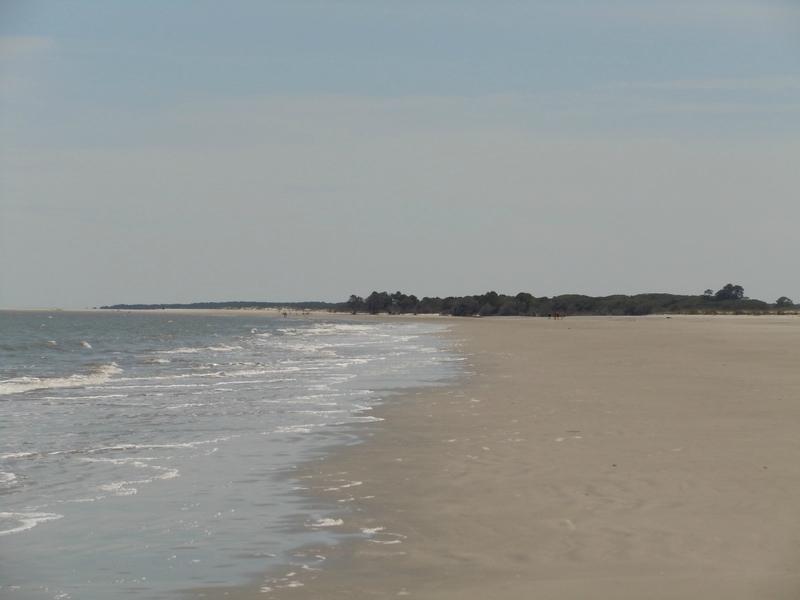 Shellman Bluff旅游景点-Blackbeard Island National Wildlife Refuge