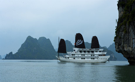 Cruises of Indochina Day Trips景点图片