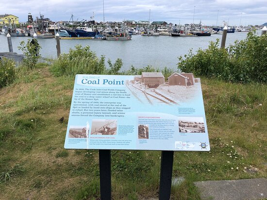 Coal Point Park-荷马必去景点