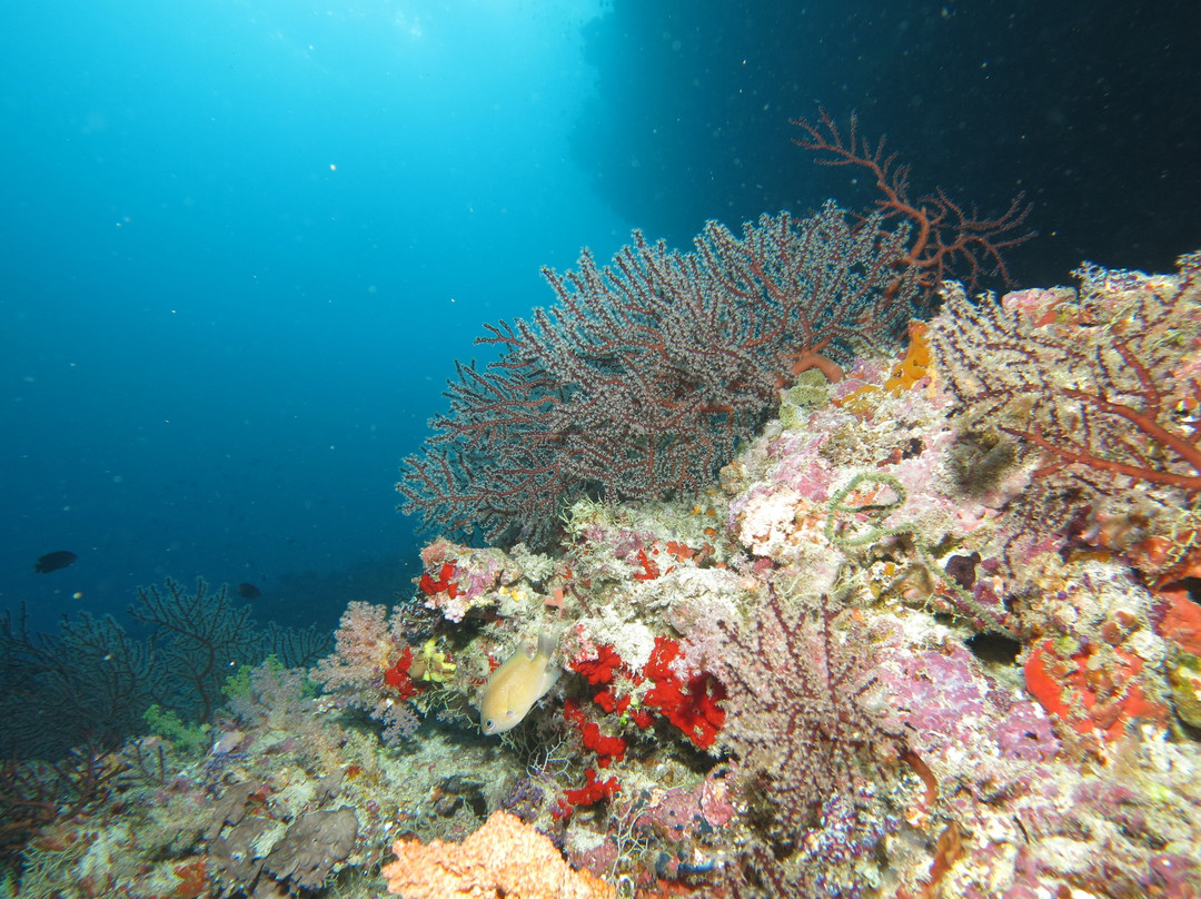 Fuvahmulah酒店住宿-Equator Diving and Sp