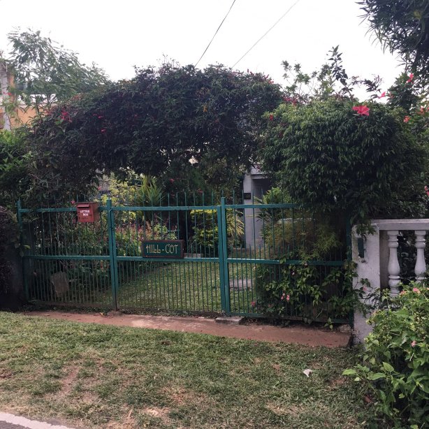 Bee View Home Stay-官方