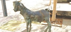 Sculpture Park Puerto Del Rosario景点图片
