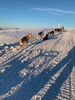 Polardog Mountain Lodge -  Tours景点图片