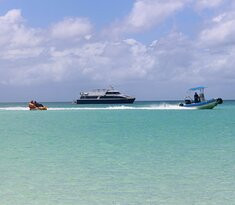 Tasman Venture - Day Tours-赫维湾必去景点