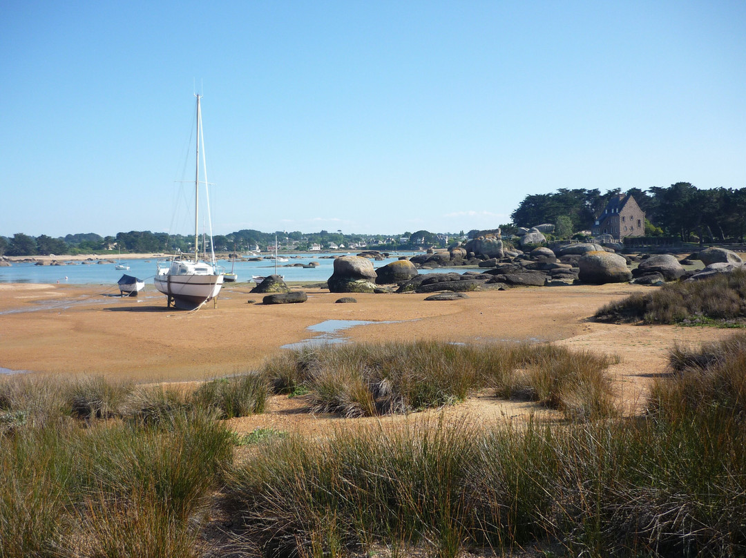 Plage Saint Anne景点图片