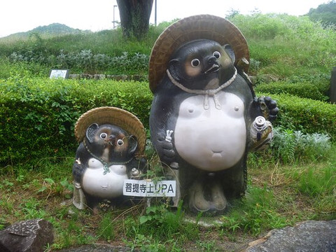 Bodaiji Parking Area Inbound-湖南市必去景点