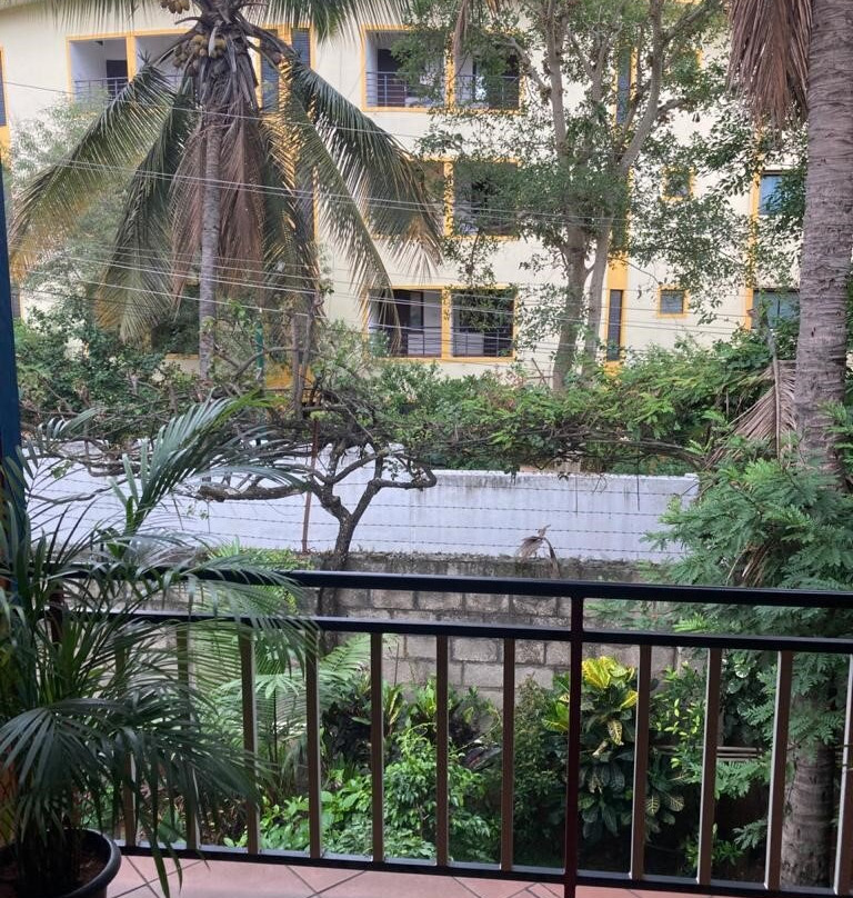 The Village Resort主图