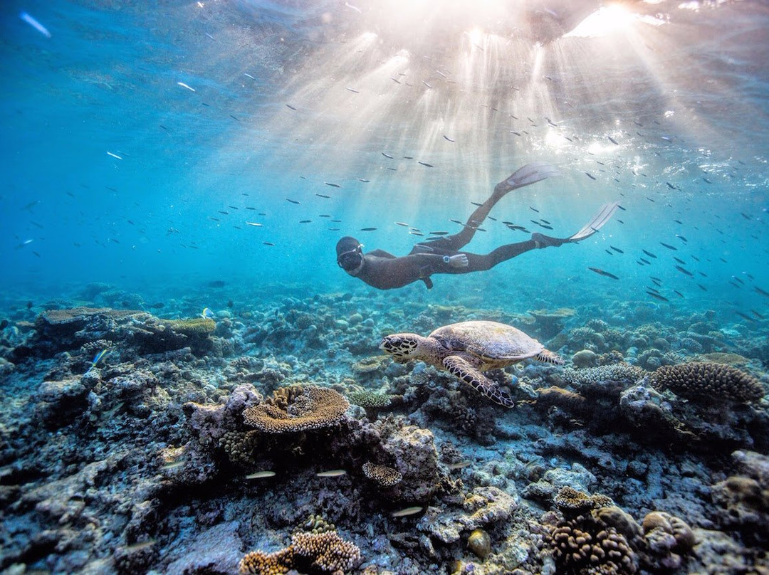 Mirage Divers-达哈卜必去景点