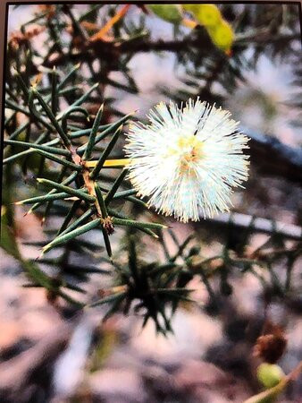 Warrimoo Lookout-Warrimoo必去景点