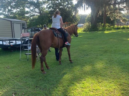 Honey Ridge Stables-Guyton必去景点