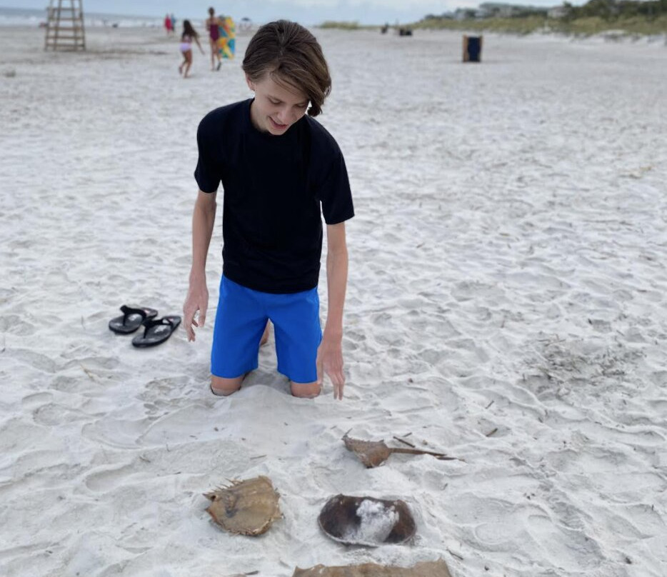 Hilton Head Island Beach-希尔顿头岛必去景点