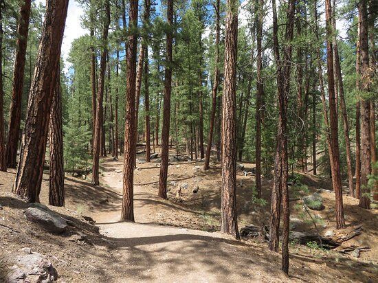 Jemez Mountains-Jemez Springs必去景点