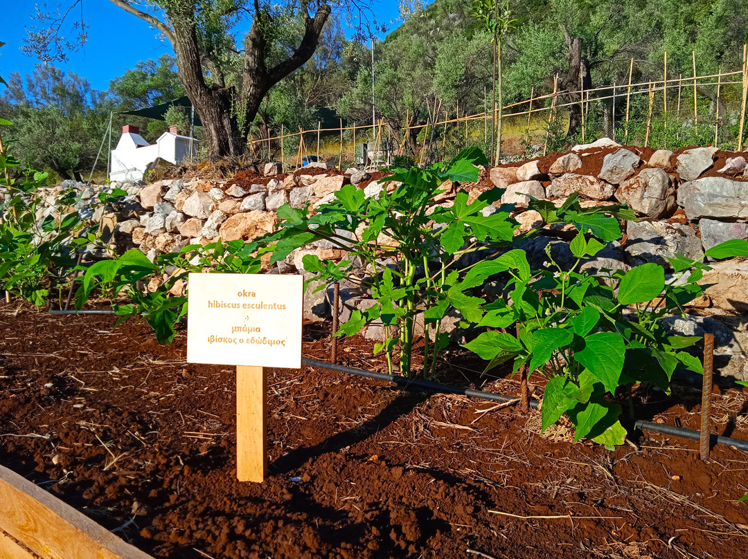 Lefkada Micro Farm: Open Air Museum-Nidri必去景点
