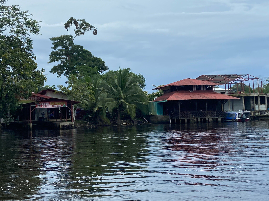 Tortuguero Natural Tours-托图杰多必去景点