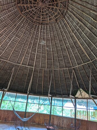 Kawsay Amazon Jungle Tours & Adventures-Indiana必去景点