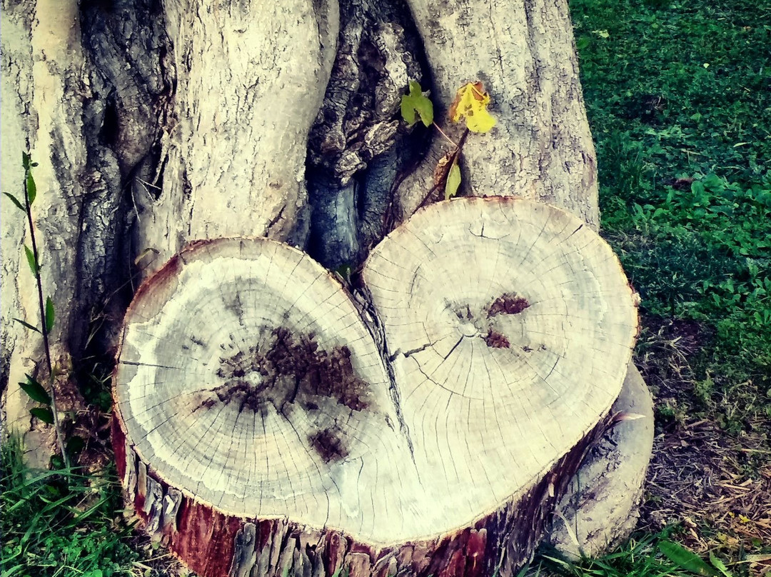 Bed & Breakfast Vallegato主图