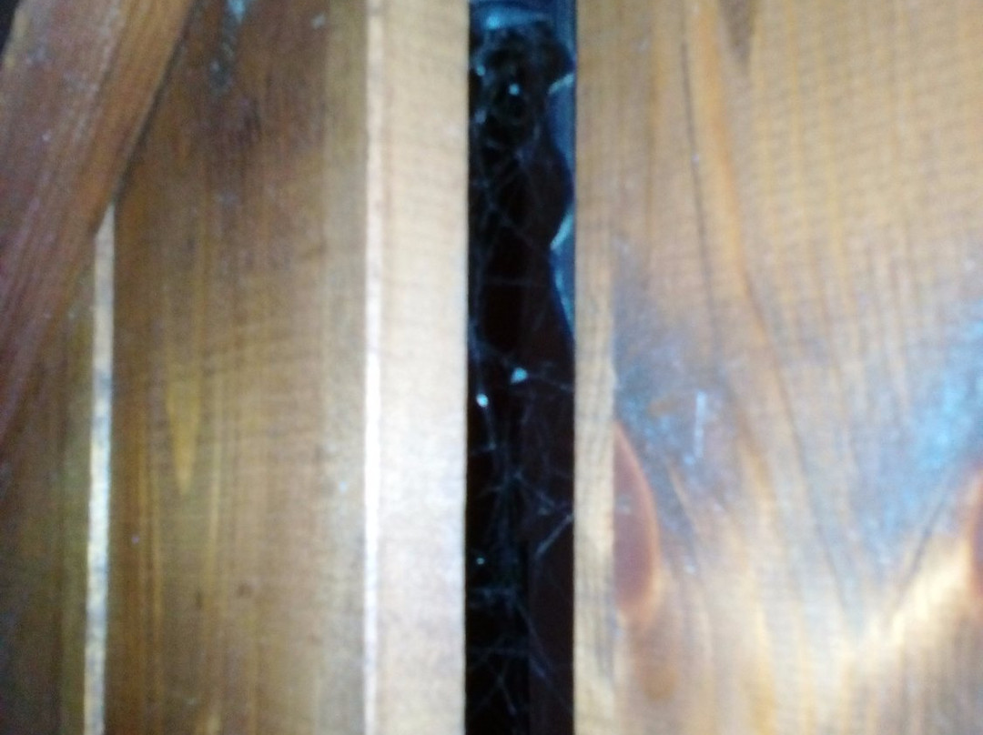 Pierion Musses主图