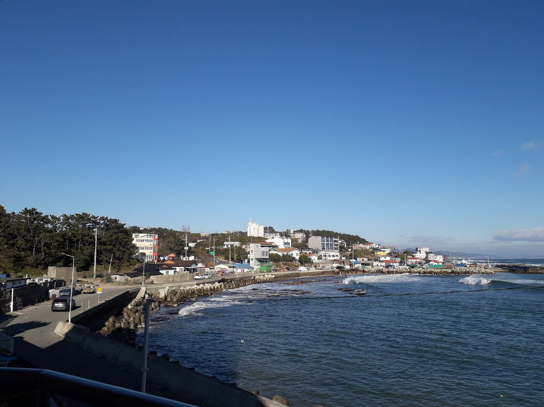 达摩亚旅馆
