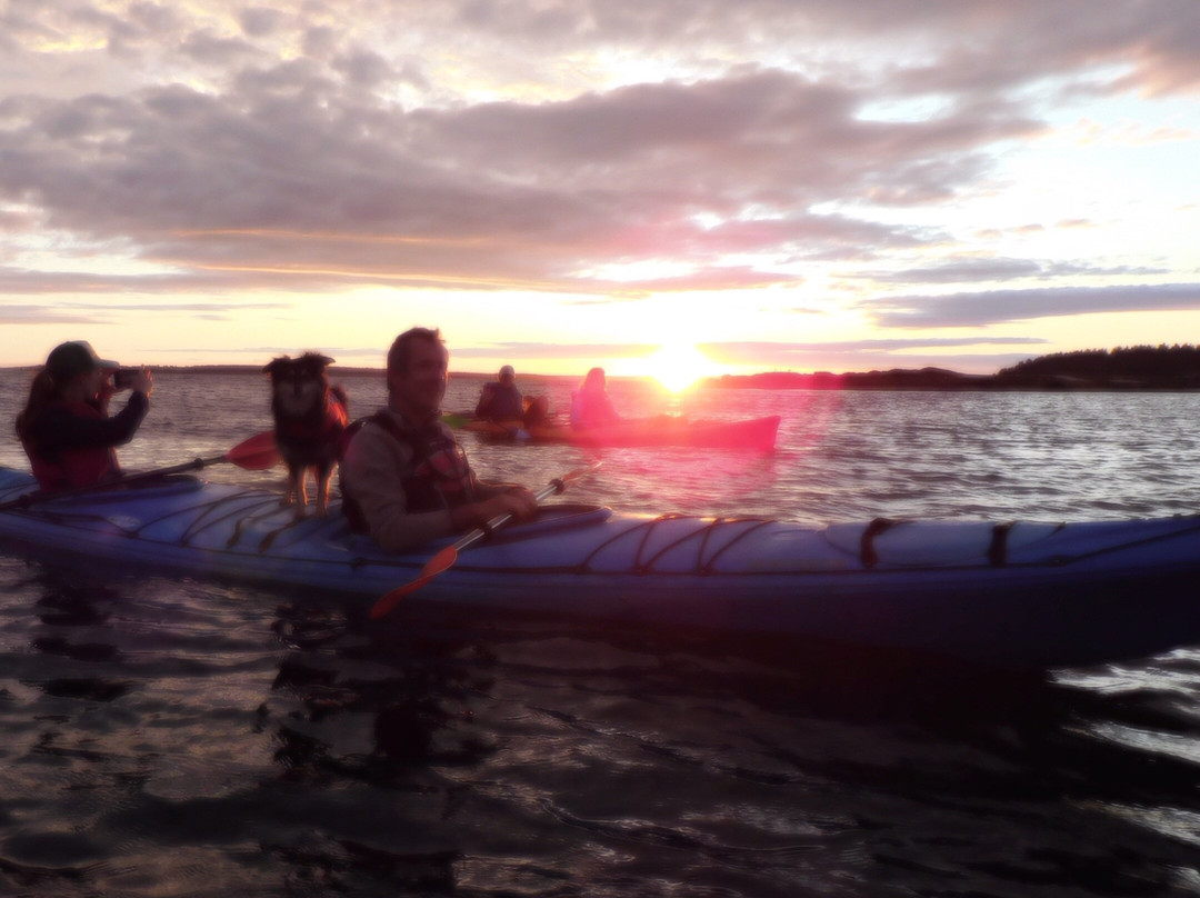 Discover Acadia’s Best Kept Secret: Personalized Kayak Tours with Paddling Beaches