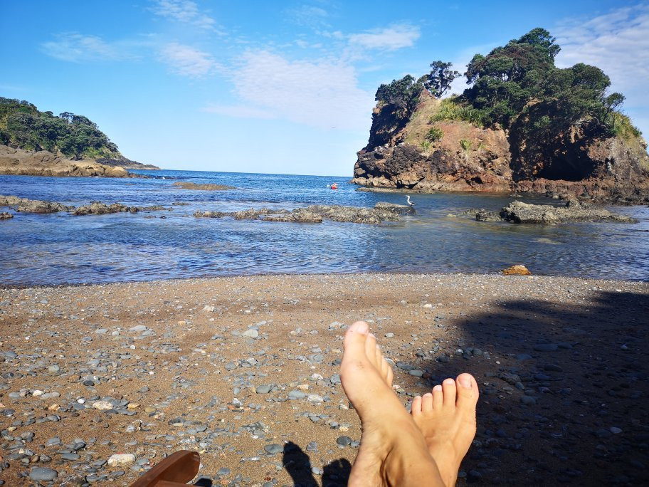 The Guesthouse at Taiharuru Farms Lodge主图