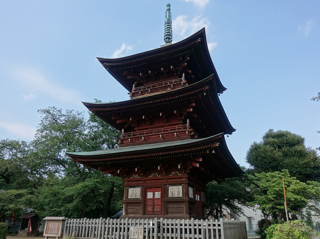 Saifukuji Temple景点图片
