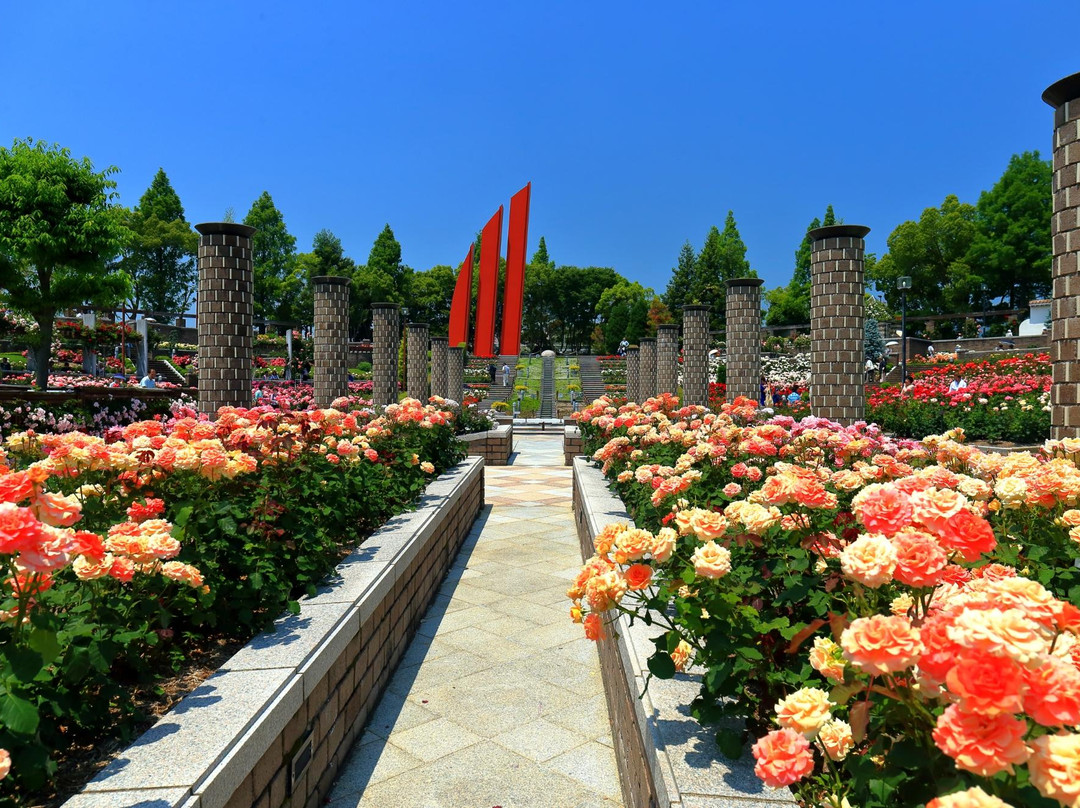 Aramaki Rose Garden景点图片
