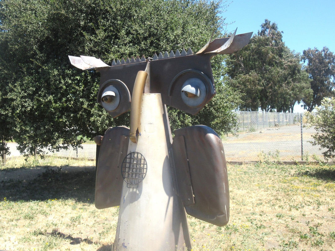 Suisun Wildlife Center-Suisun City必去景点